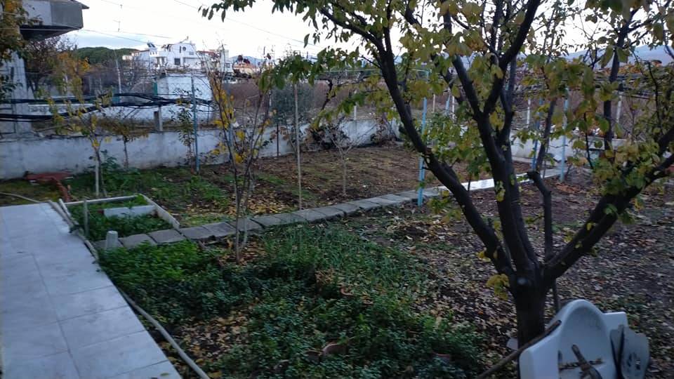 Dikili Bahçeli Köyü Resimleri 3