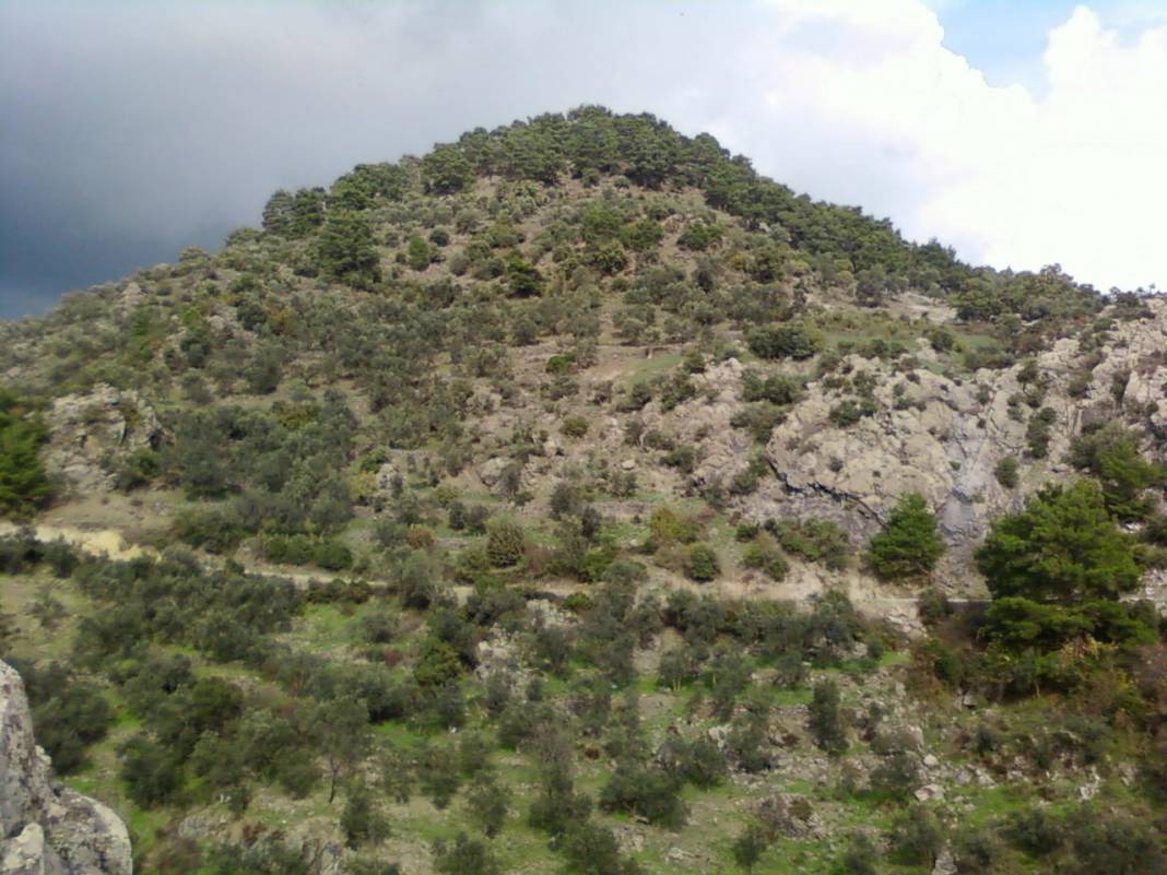 Dikili Çağlan Köyü Resimleri 1