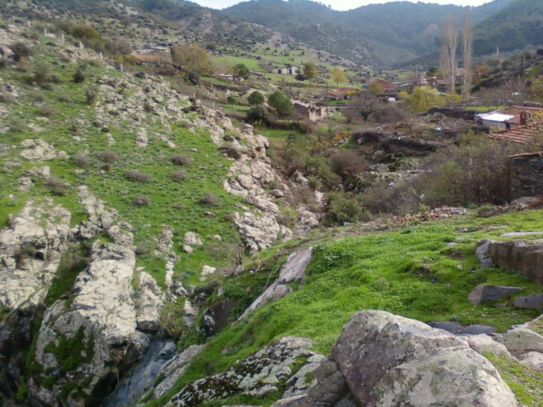 Dikili Çağlan Köyü Resimleri 2