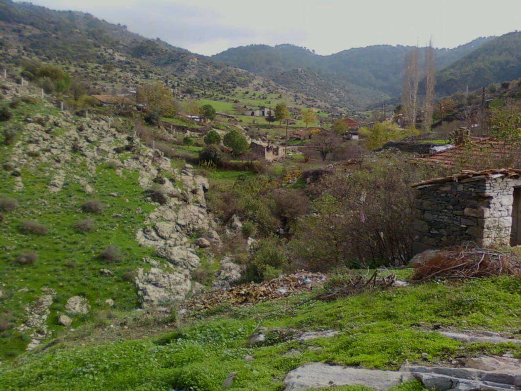 Dikili Çağlan Köyü Resimleri 7