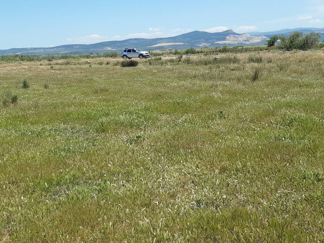 Dikili Çandarlı Köyü Resimleri 1