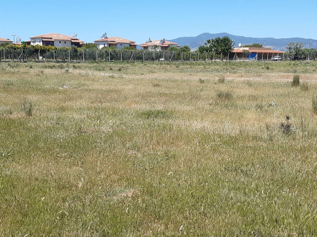 Dikili Çandarlı Köyü Resimleri 3