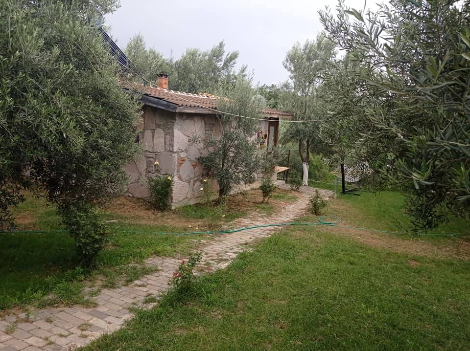 Dikili Çandarlı Köyü Resimleri 4