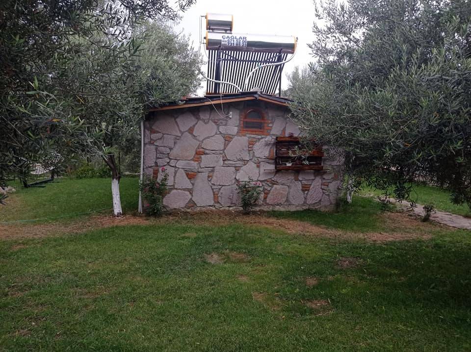 Dikili Çandarlı Köyü Resimleri 5