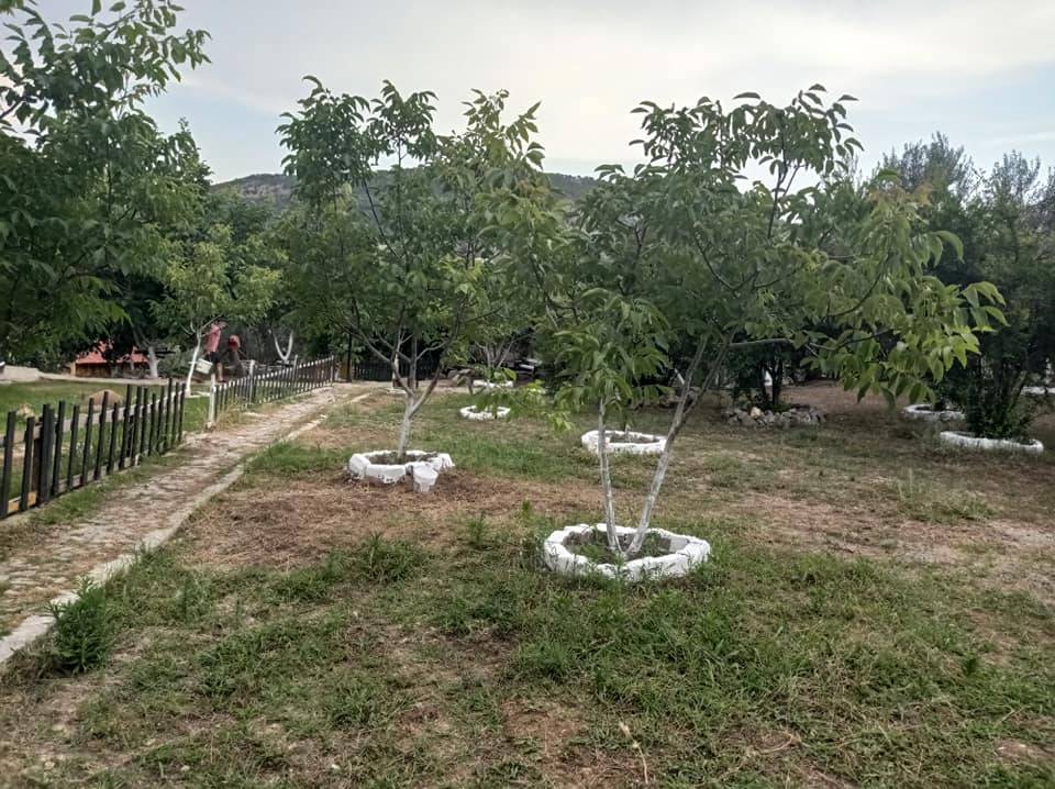 Dikili Çandarlı Köyü Resimleri 8