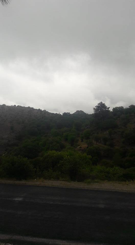 Dikili Çukuralan Köyü Resimleri 1