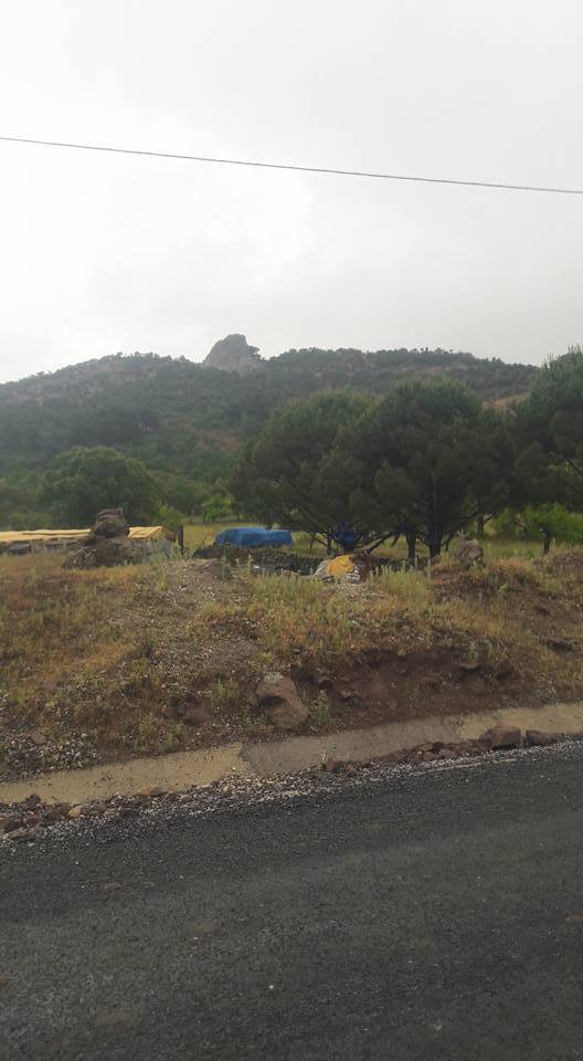 Dikili Çukuralan Köyü Resimleri 2