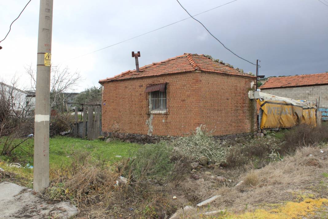 Dikili Demirtaş Köyü Resimleri 2