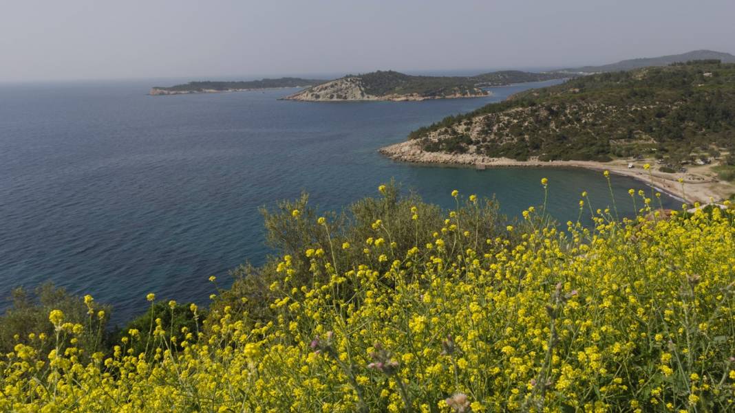 Dikili Denizköy Köyü Resimleri 2