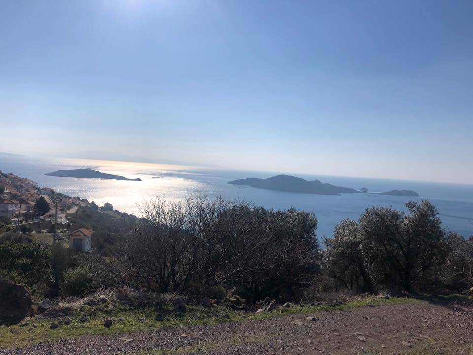 Dikili Denizköy Köyü Resimleri 5