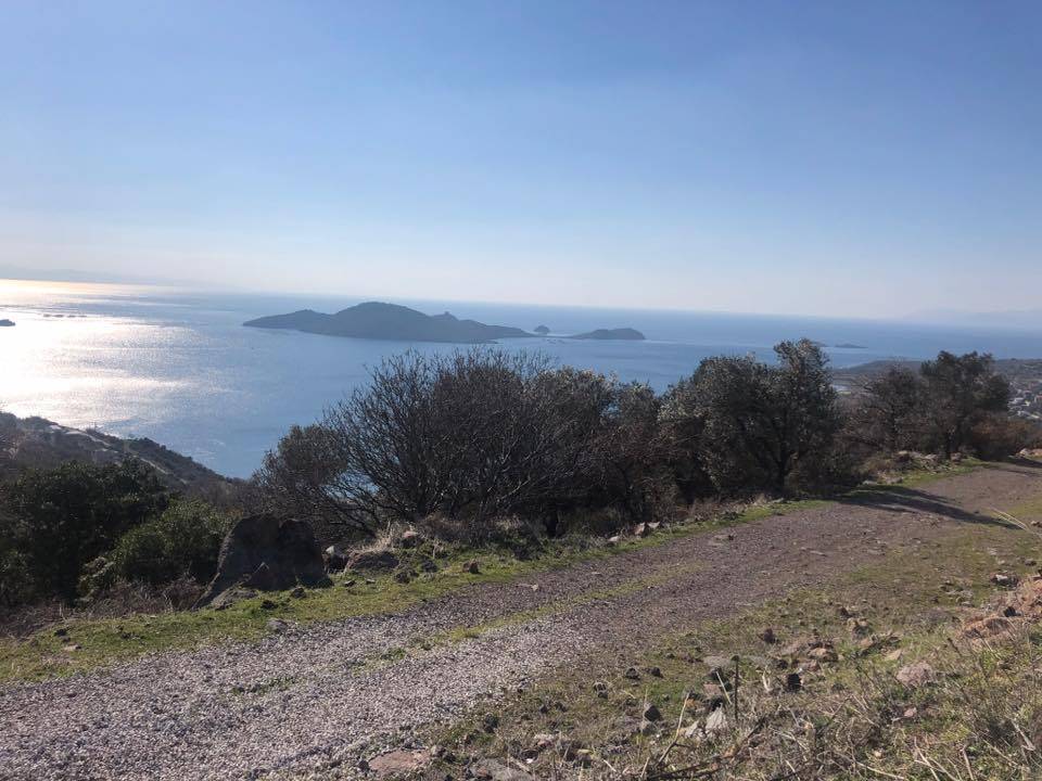 Dikili Denizköy Köyü Resimleri 6