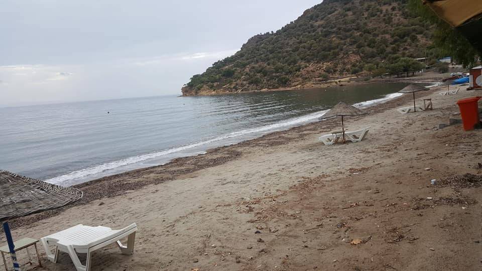 Dikili Denizköy Köyü Resimleri 7