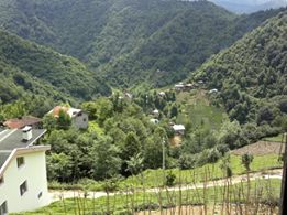 Pazar Ortayol Köyü Resimleri 1