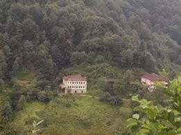 Pazar Ortayol Köyü Resimleri 10