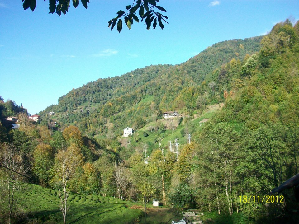 Pazar Ortayol Köyü Resimleri 11