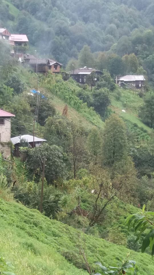 Pazar Ortayol Köyü Resimleri 2