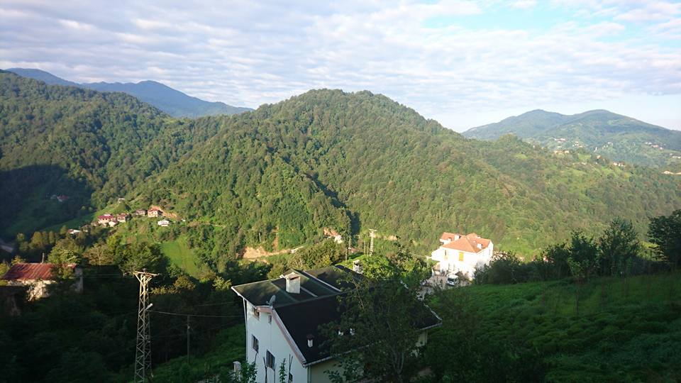 Pazar Ortayol Köyü Resimleri 3