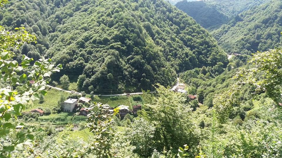 Pazar Ortayol Köyü Resimleri 5