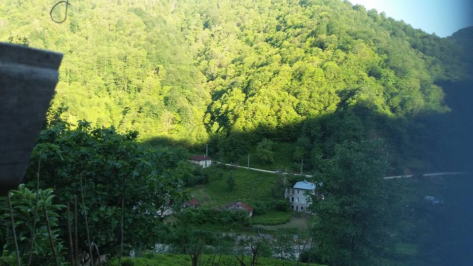 Pazar Ortayol Köyü Resimleri 6