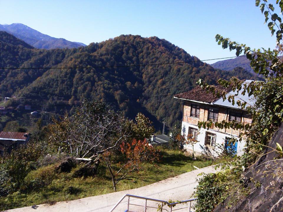 Pazar Ortayol Köyü Resimleri 8