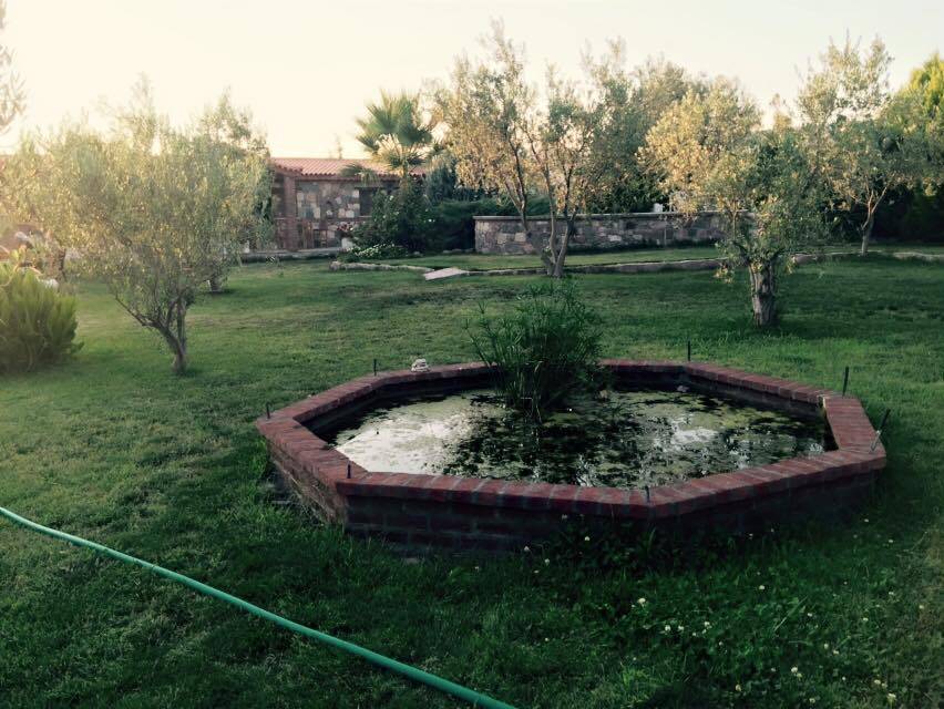 Dikili İslamlar Köyü Resimleri 2