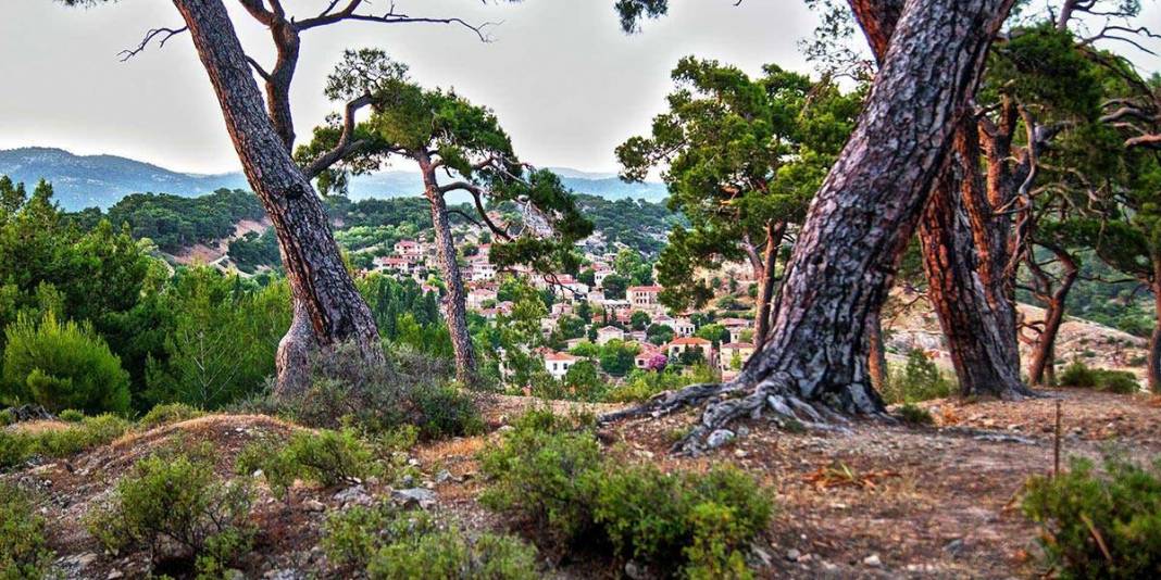 Dikili İsmetpaşa Köyü Resimleri 2