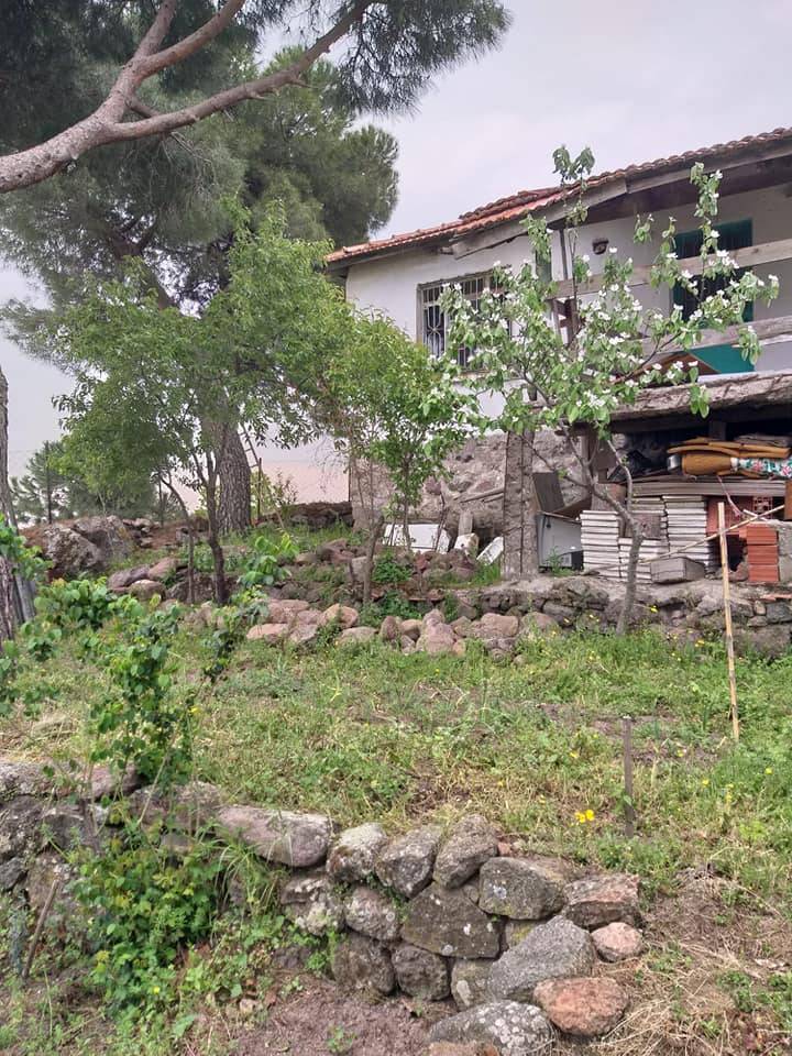 Dikili Katıralanı Köyü Resimleri 2