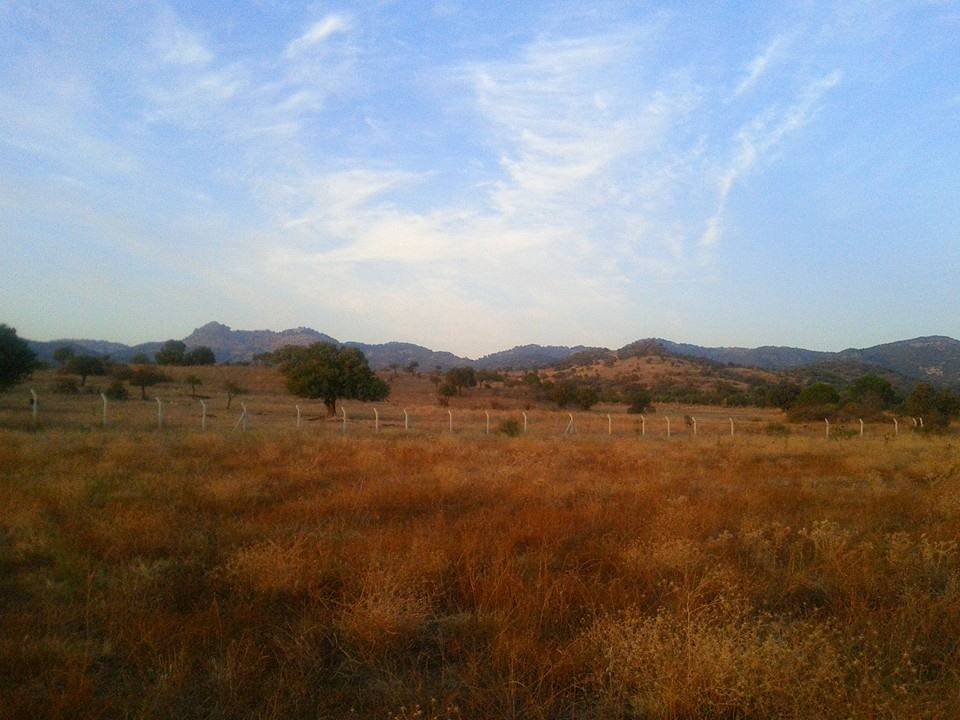 Dikili Kıratlı Köyü Resimleri 4