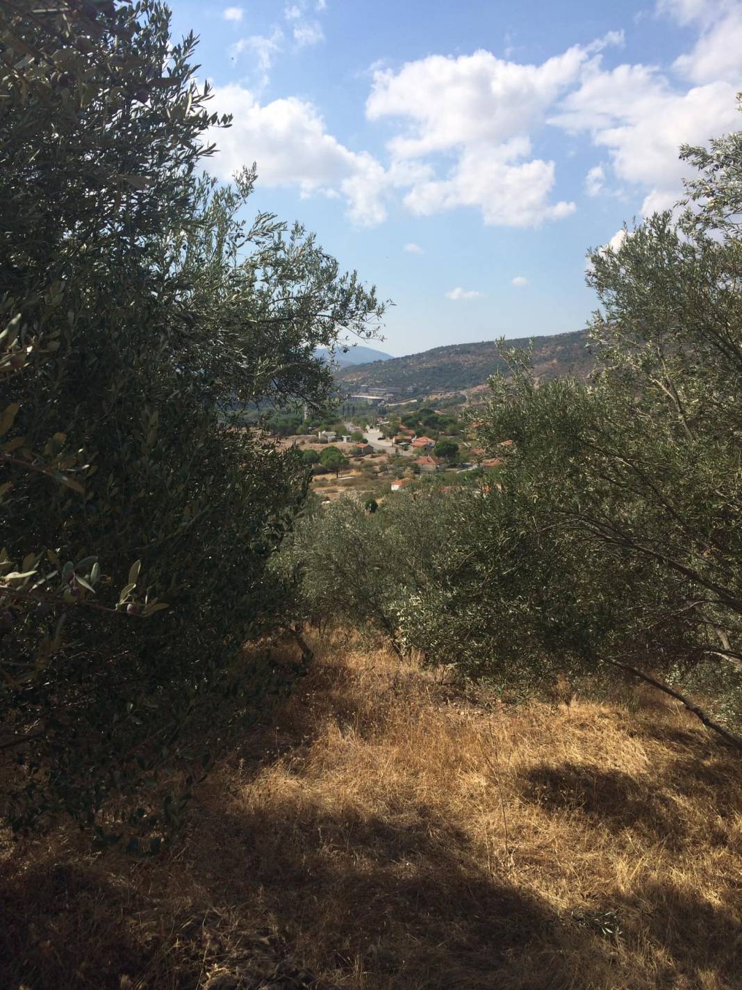 Dikili Kıroba Köyü Resimleri 4