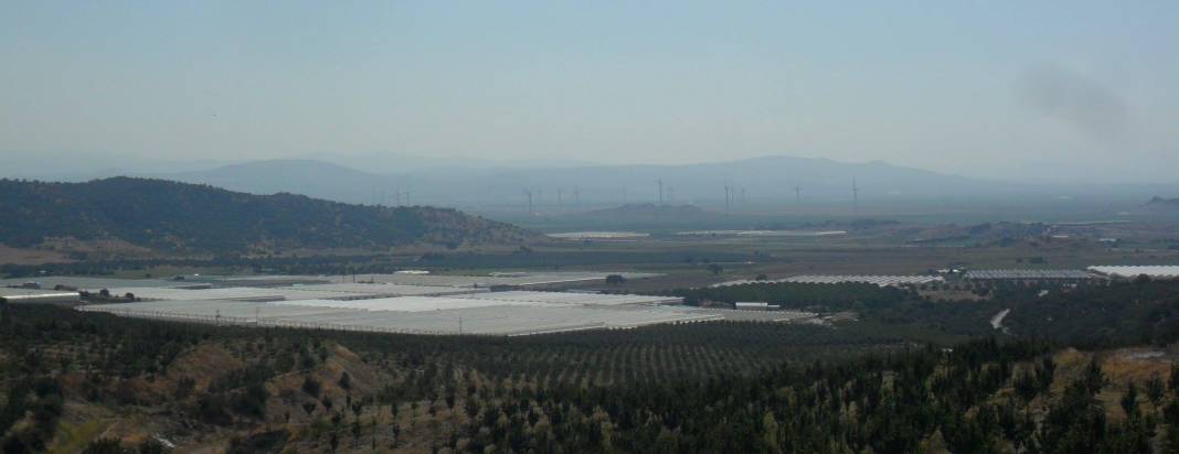 Dikili Kocaoba Köyü Resimleri 1