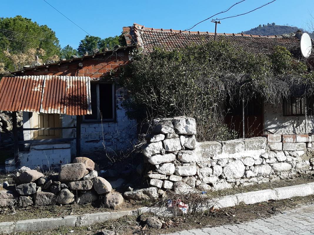 Dikili Kocaoba Köyü Resimleri 3