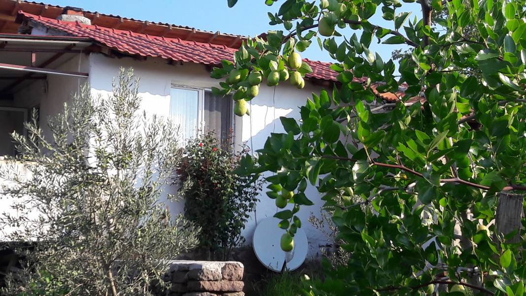 Dikili Mazılı Köyü Resimleri 3