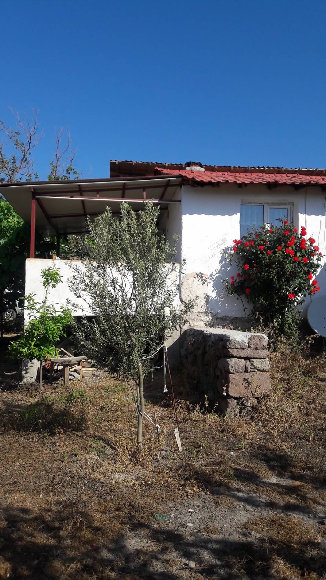 Dikili Mazılı Köyü Resimleri 4