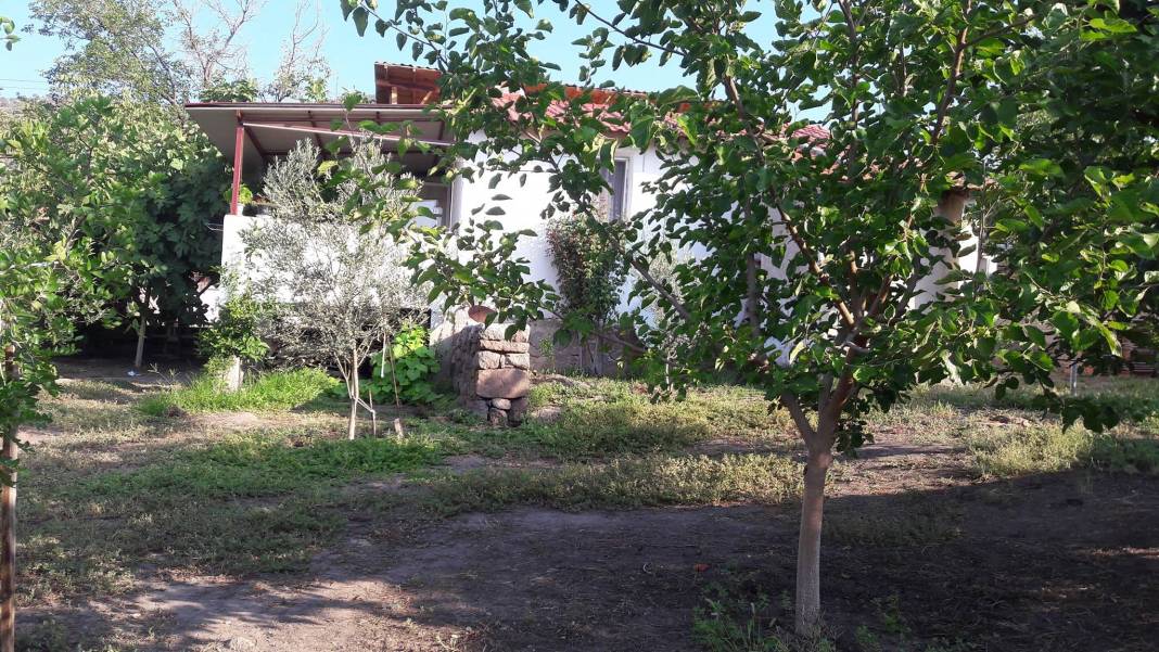 Dikili Mazılı Köyü Resimleri 6