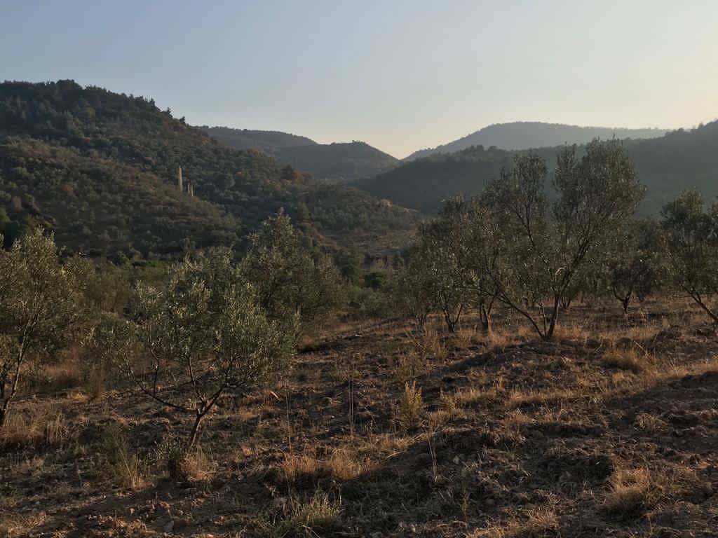 Dikili Mazılı Köyü Resimleri 7