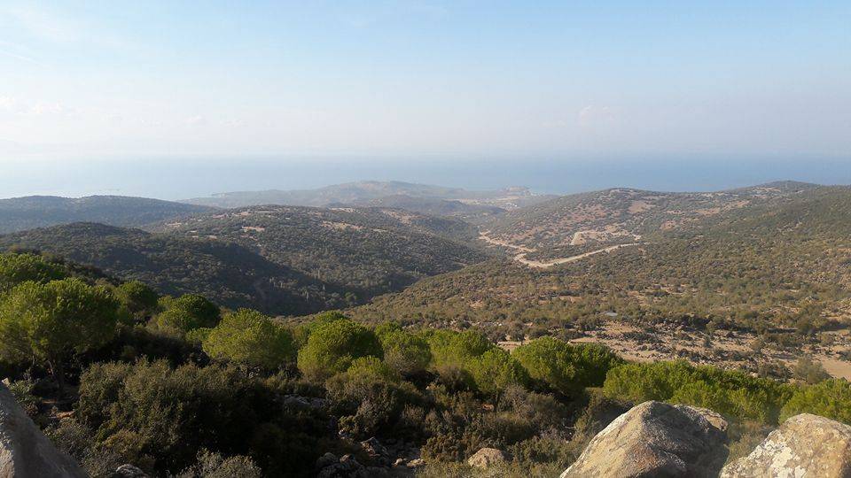 Dikili Merdivenli Köyü Resimleri 3