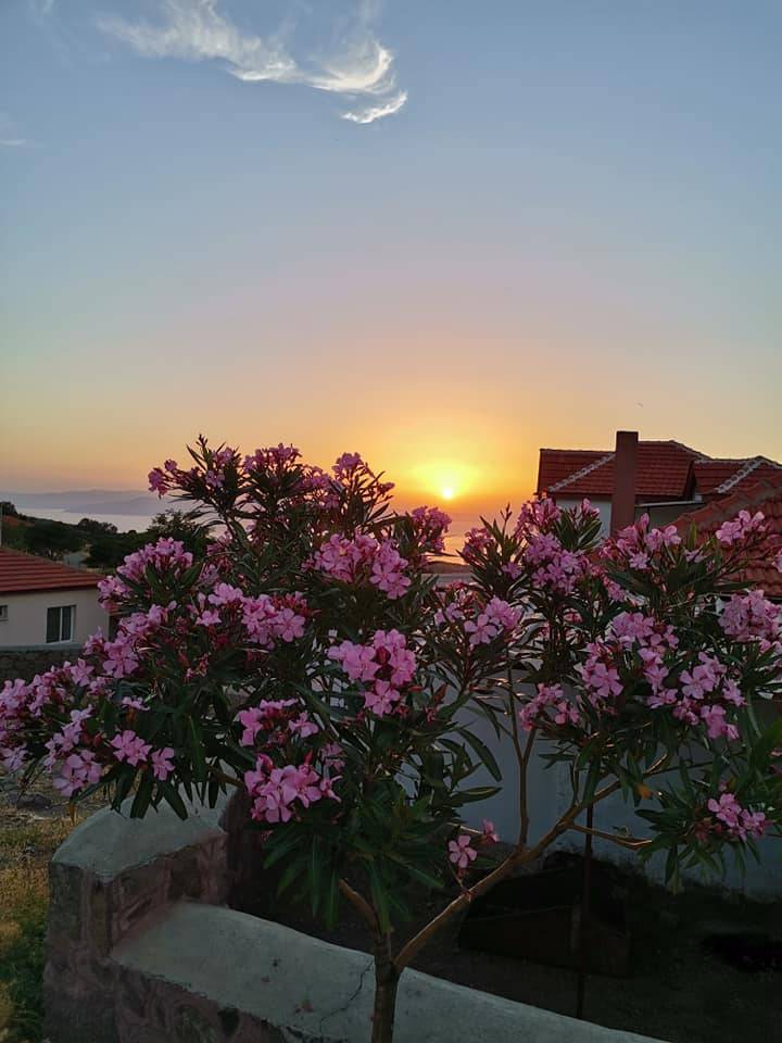 Dikili Merdivenli Köyü Resimleri 6