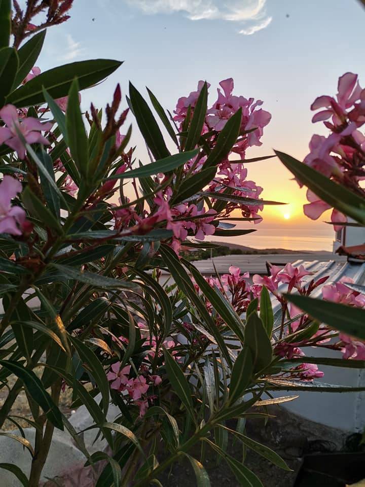 Dikili Merdivenli Köyü Resimleri 7