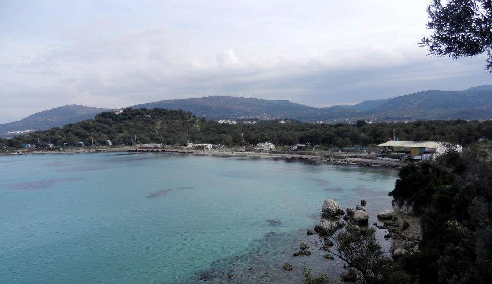 Dikili Yahşibey Köyü Resimleri 2