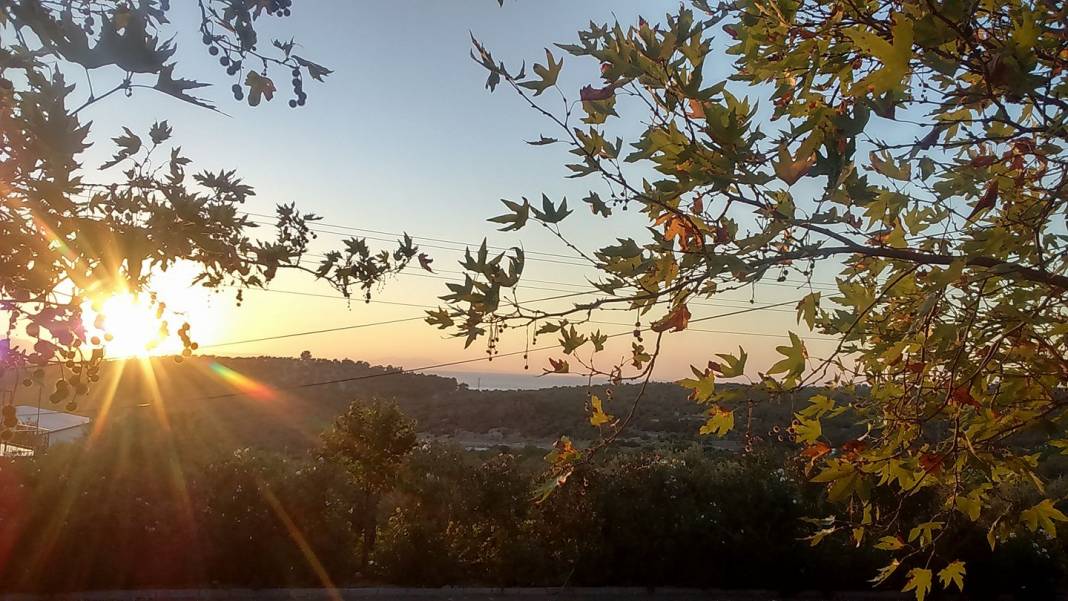 Dikili Yahşibey Köyü Resimleri 4