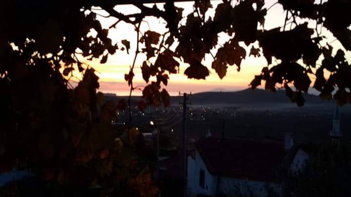 Dikili Yahşibey Köyü Resimleri 5