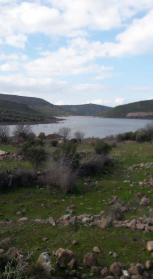 Dikili Yahşibey Köyü Resimleri 6