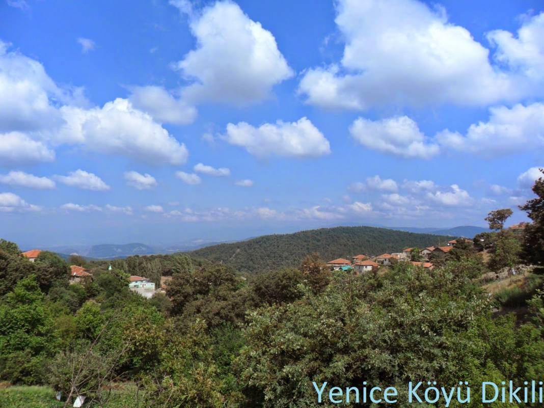 Dikili Yenice Köyü Resimleri 5
