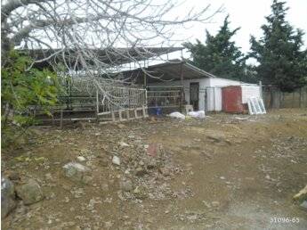 Foça Fevzi Çakmak Köyü Resimleri 1