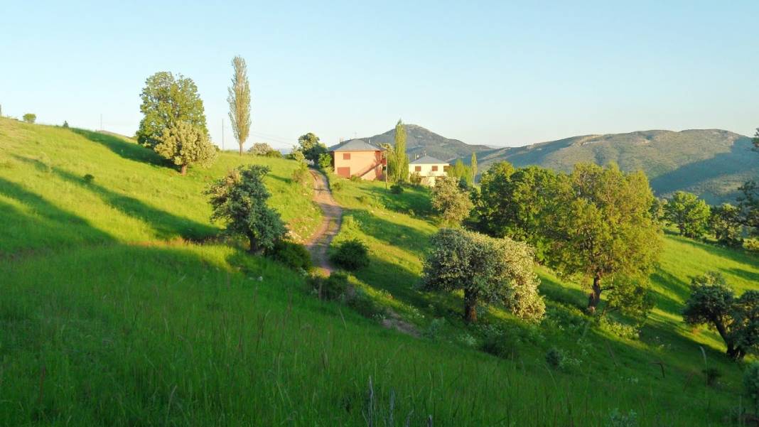 Foça Fevzi Çakmak Köyü Resimleri 2