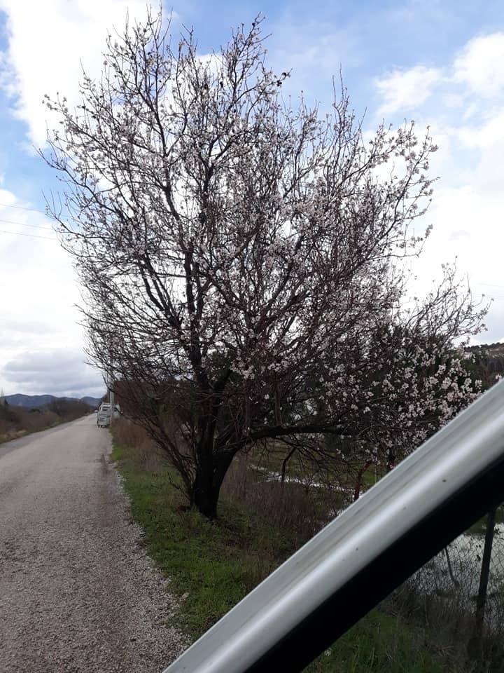 Foça Kozbeyli Köyü Resimleri 2