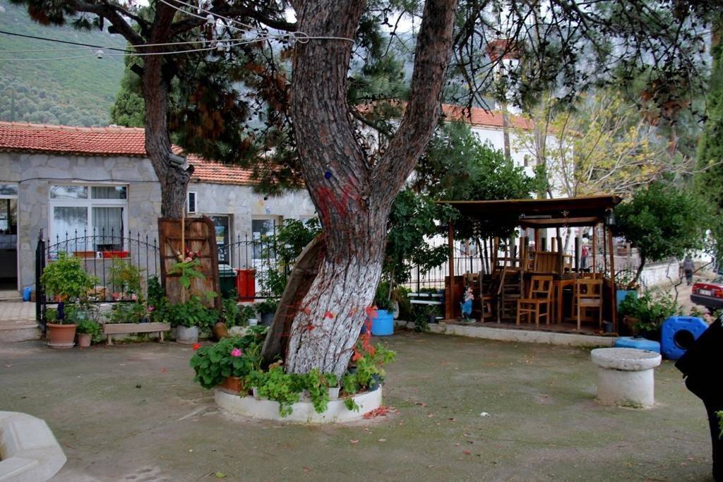 Karaburun Ambarseki Köyü Resimleri 5