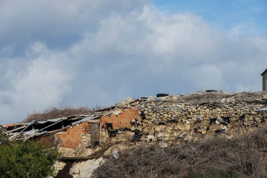 Karaburun Bozköy Köyü Resimleri 3