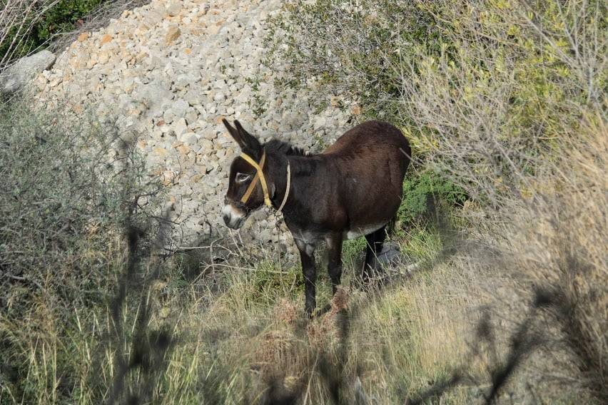 Karaburun Bozköy Köyü Resimleri 4