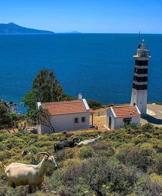 Karaburun Bozköy Köyü Resimleri 8